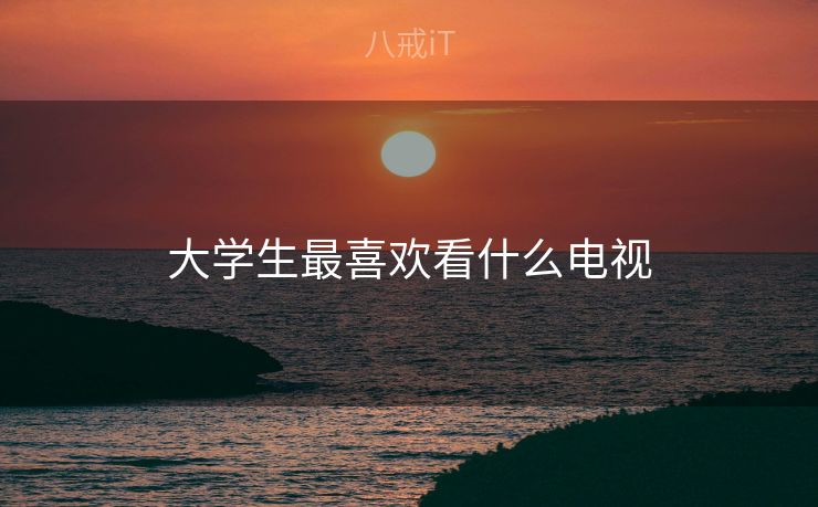 大学生最喜欢看什么电视