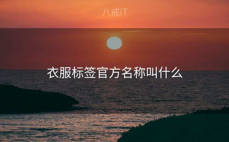 衣服标签官方名称叫什么