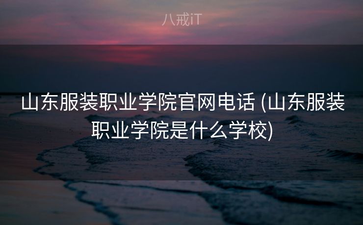 山东服装职业学院官网电话 (山东服装职业学院是什么学校)