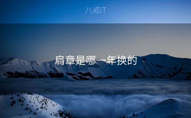 肩章是哪一年换的