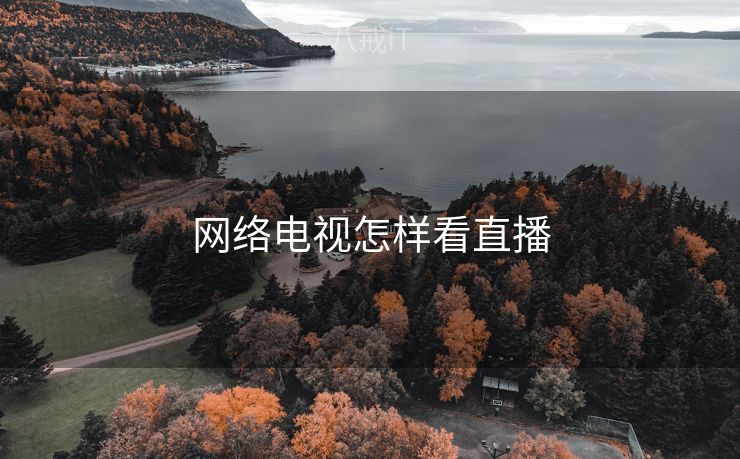 网络电视怎样看直播
