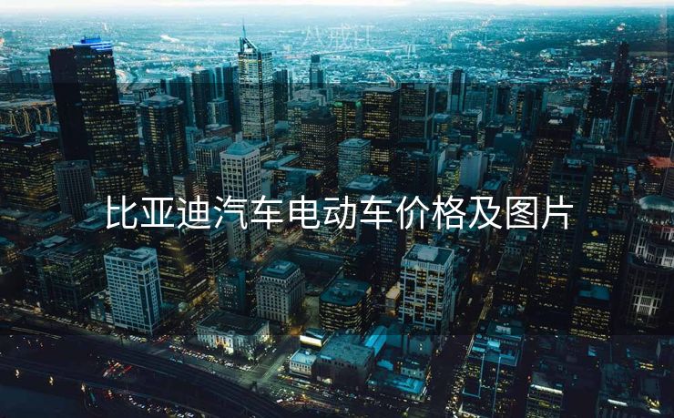 比亚迪汽车电动车价格及图片