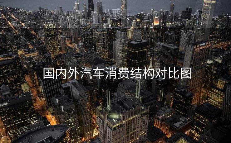  国内外汽车消费结构对比图