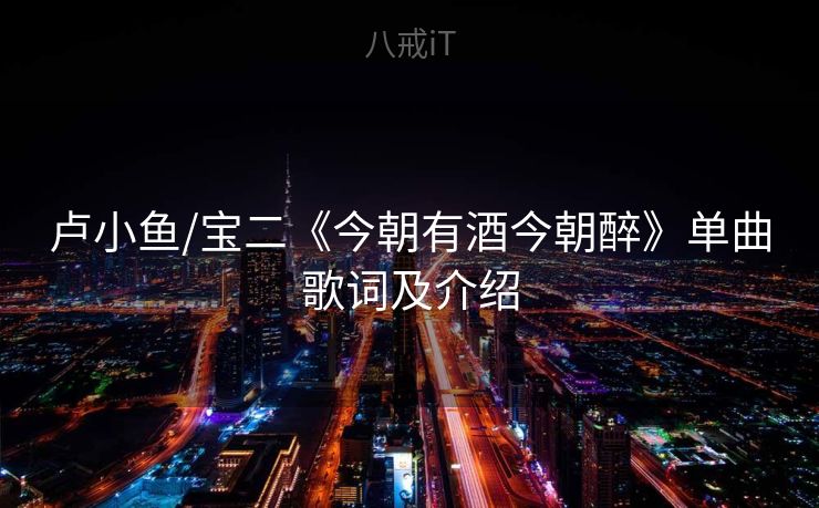 卢小鱼/宝二《今朝有酒今朝醉》单曲歌词及介绍