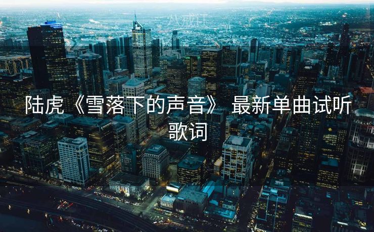 陆虎《雪落下的声音》 最新单曲试听歌词