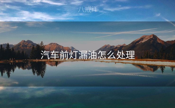 汽车前灯漏油怎么处理
