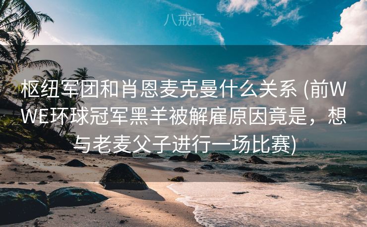枢纽军团和肖恩麦克曼什么关系 (前WWE环球冠军黑羊被解雇原因竟是，想与老麦父子进行一场比赛)