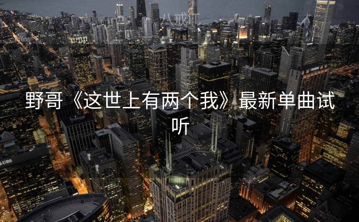 野哥《这世上有两个我》最新单曲试听