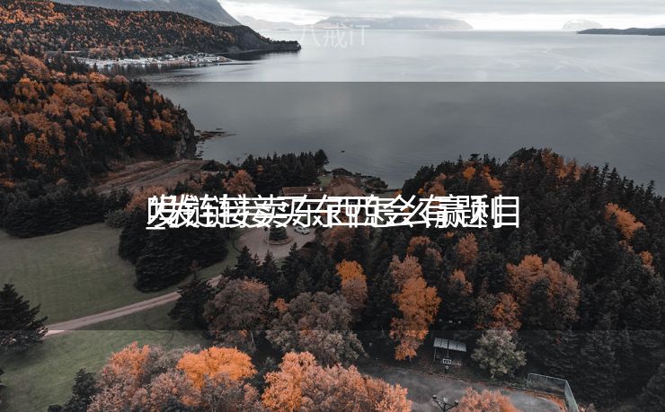 发链接卖东西怎么赢利
_发链接买东西会有题目
吗 发链接卖东西怎么赢利
_发链接买东西会有题目
吗