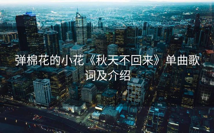 弹棉花的小花《秋天不回来》单曲歌词及介绍