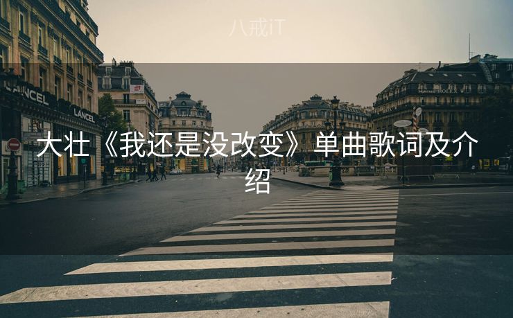大壮《我还是没改变》单曲歌词及介绍