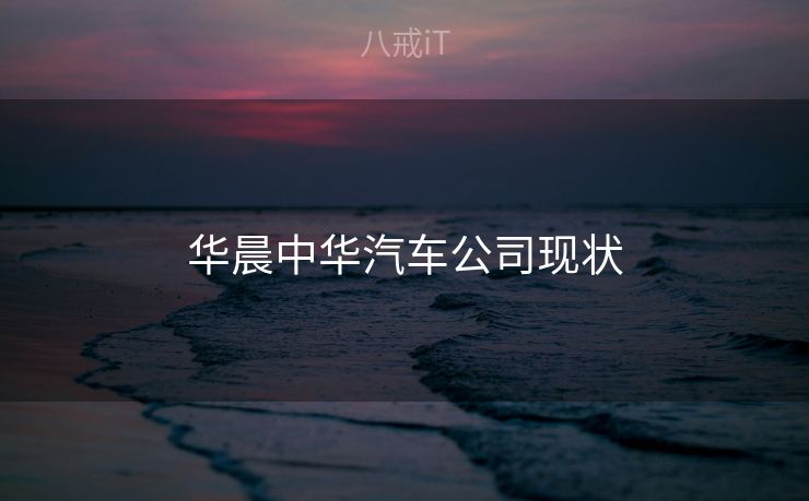华晨中华汽车公司现状