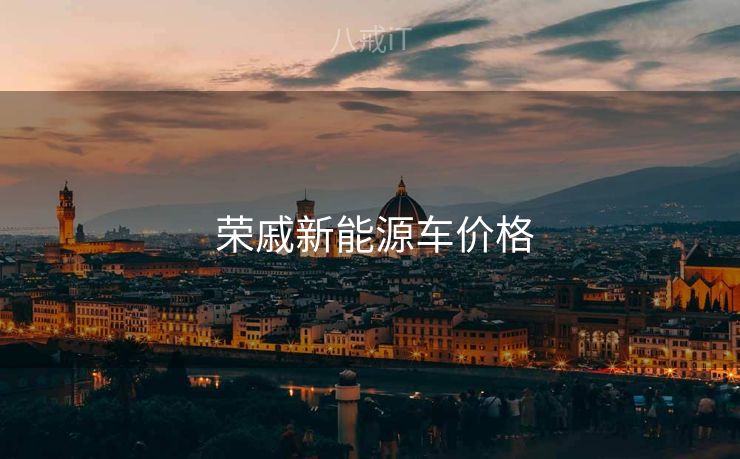  荣戚新能源车价格
