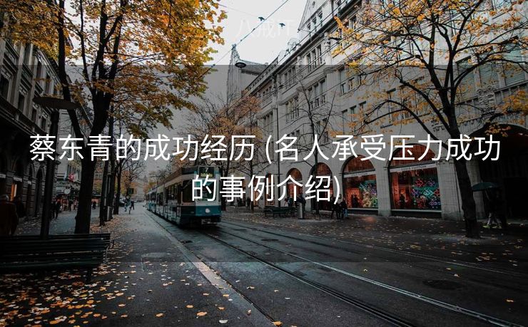 蔡东青的成功经历 (名人承受压力成功的事例介绍)