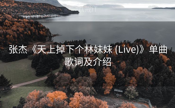 张杰《天上掉下个林妹妹 (Live)》单曲歌词及介绍