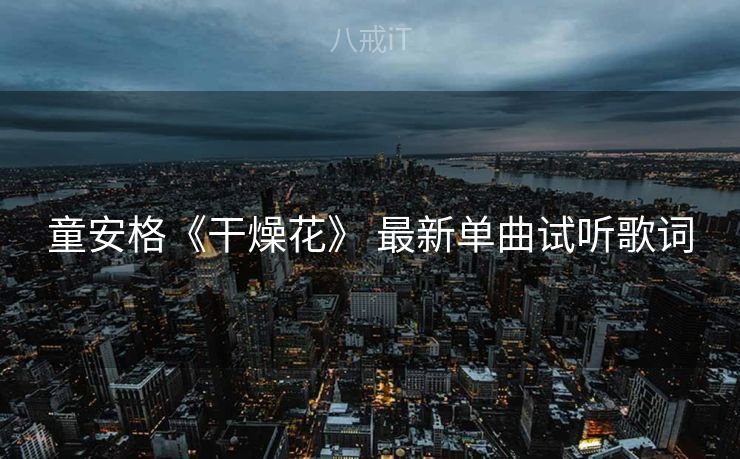 童安格《干燥花》 最新单曲试听歌词