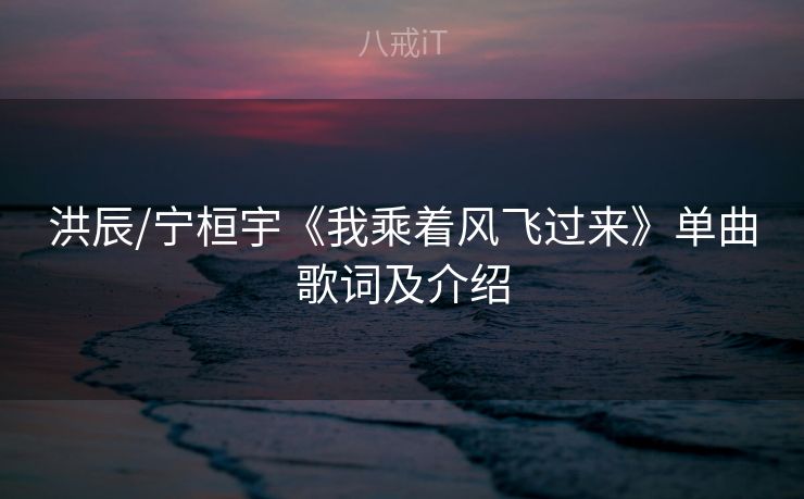 洪辰/宁桓宇《我乘着风飞过来》单曲歌词及介绍