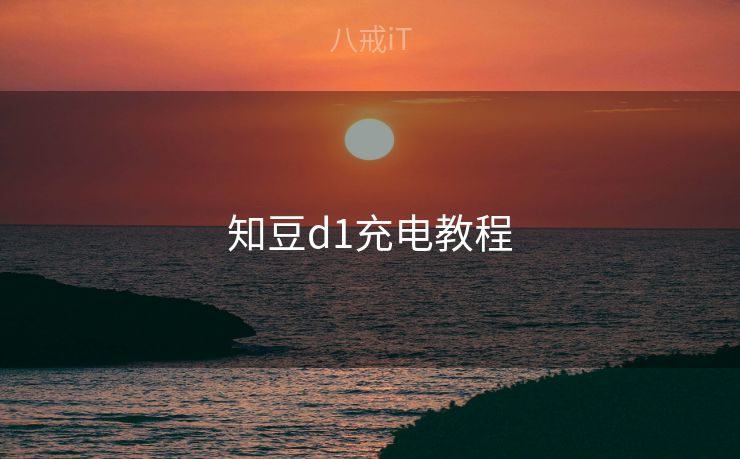 知豆d1充电教程