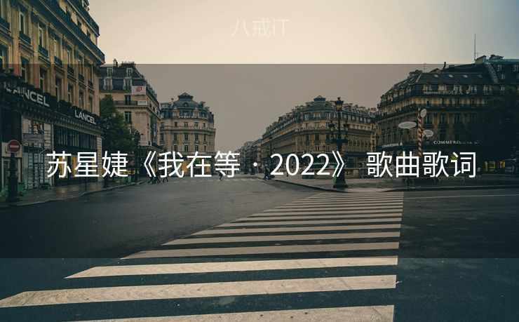 苏星婕《我在等 · 2022》 歌曲歌词