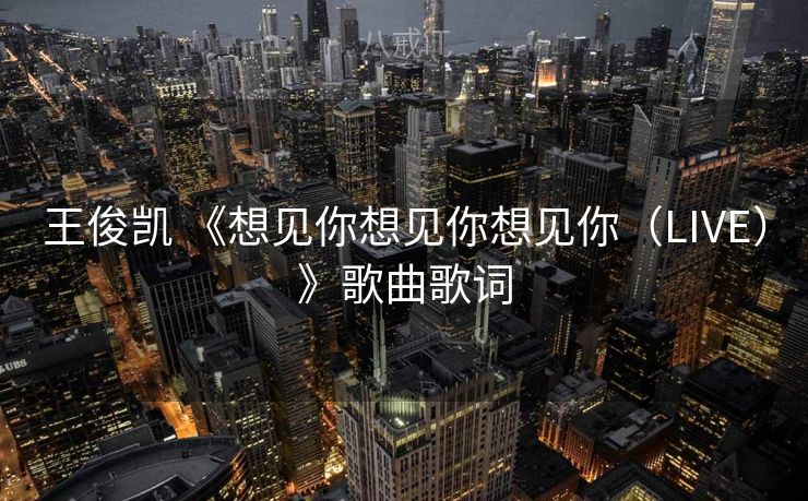 王俊凯 《想见你想见你想见你（LIVE）》歌曲歌词