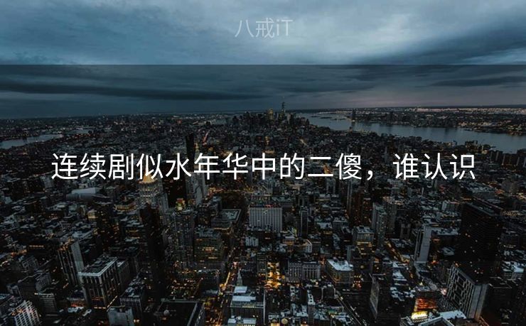 连续剧似水年华中的二傻，谁认识