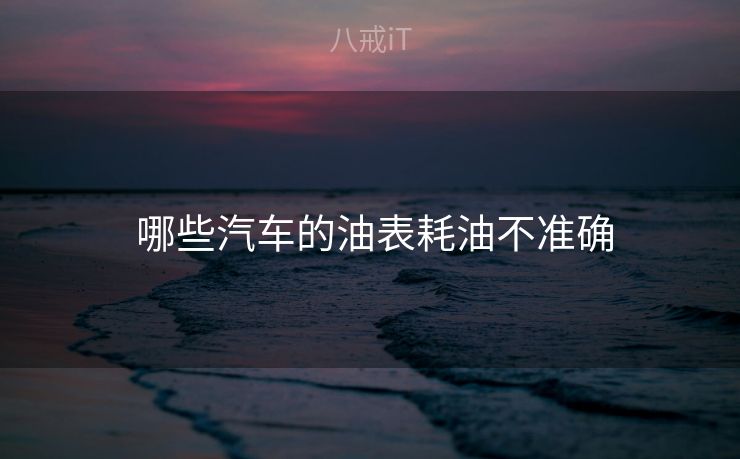  哪些汽车的油表耗油不准确