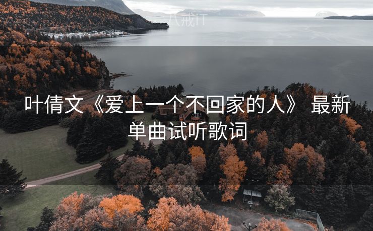 叶倩文《爱上一个不回家的人》 最新单曲试听歌词