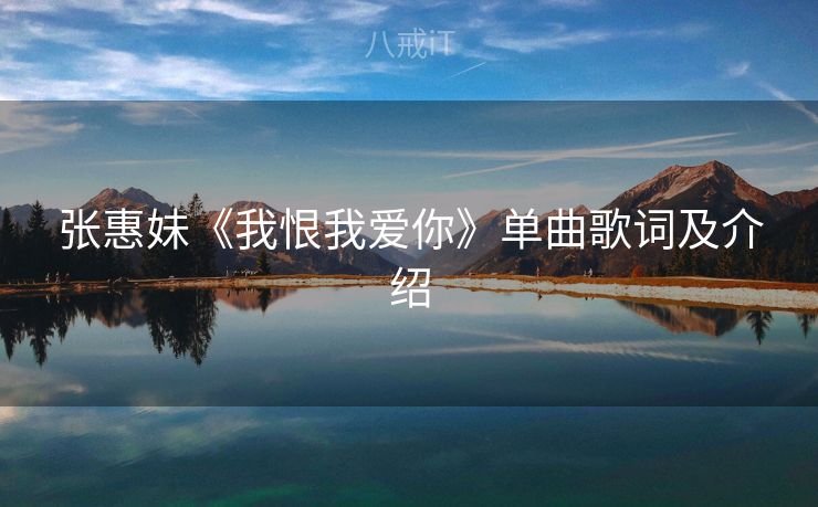 张惠妹《我恨我爱你》单曲歌词及介绍