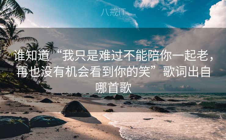 谁知道“我只是难过不能陪你一起老，再也没有机会看到你的笑”歌词出自哪首歌