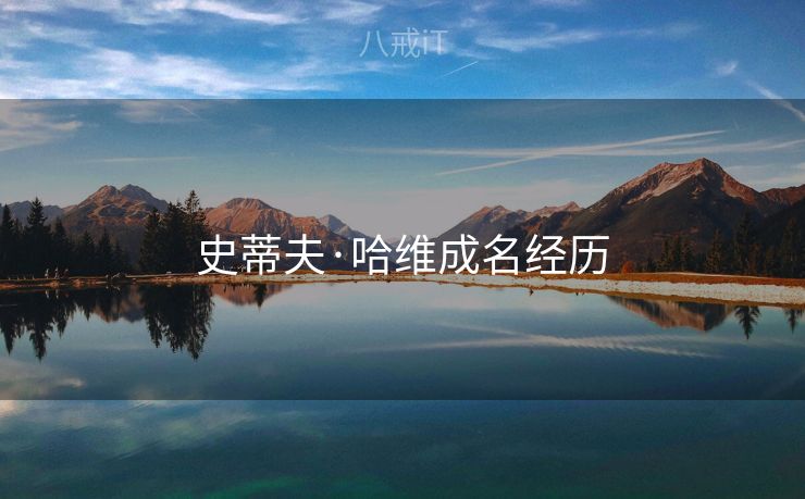 史蒂夫·哈维成名经历