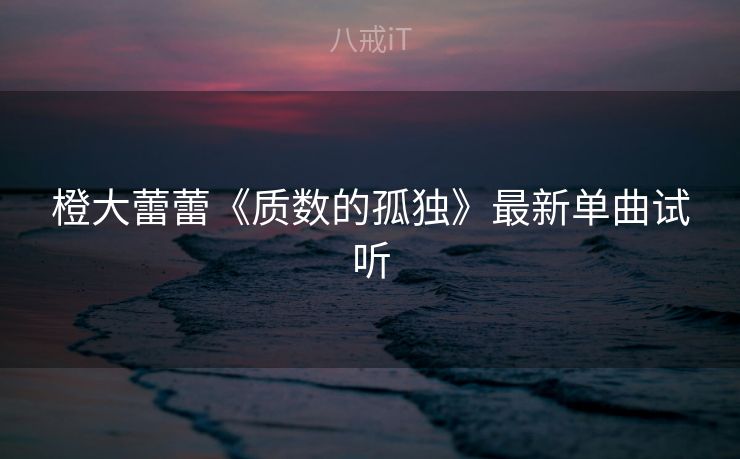 橙大蕾蕾《质数的孤独》最新单曲试听