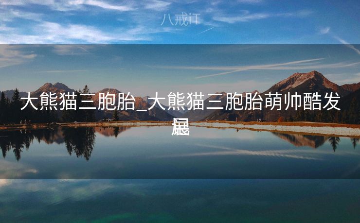 大熊猫三胞胎_大熊猫三胞胎萌帅酷发展
记