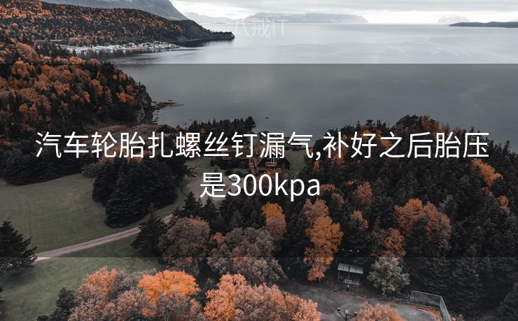 汽车轮胎扎螺丝钉漏气,补好之后胎压是300kpa