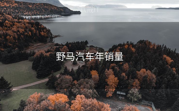 野马汽车年销量