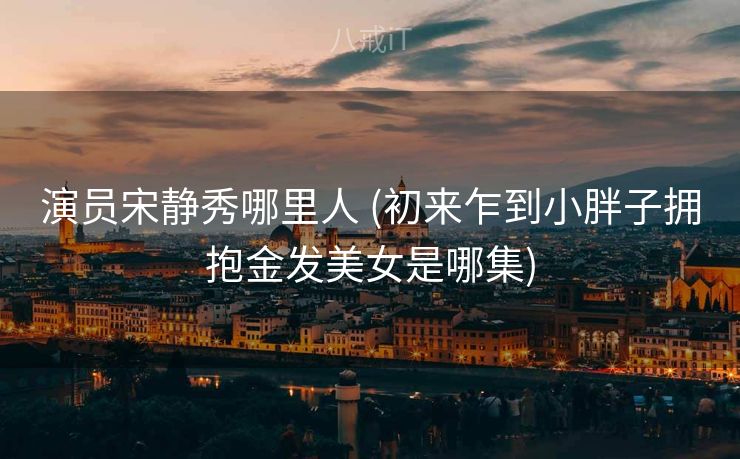 演员宋静秀哪里人 (初来乍到小胖子拥抱金发美女是哪集)