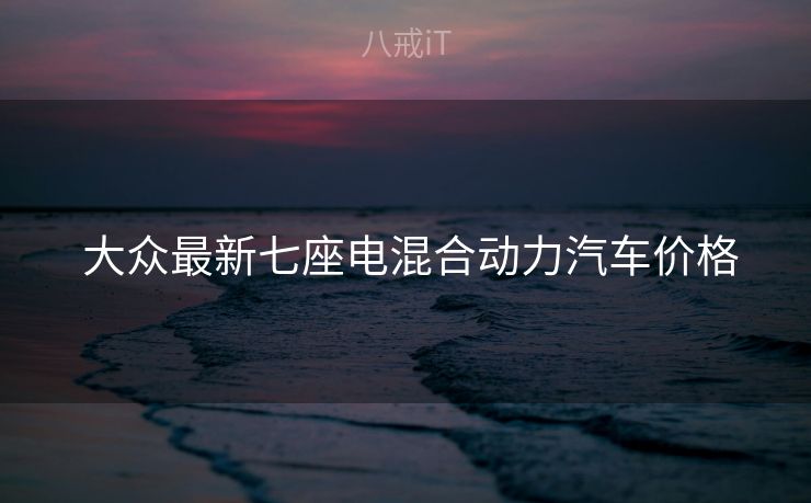  大众最新七座电混合动力汽车价格