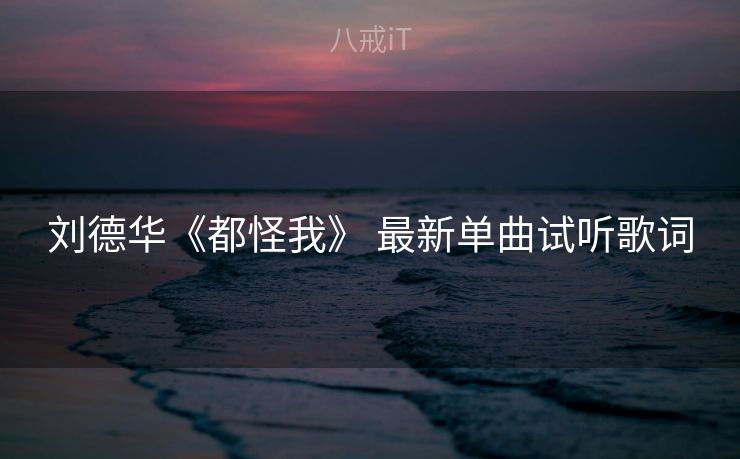 刘德华《都怪我》 最新单曲试听歌词