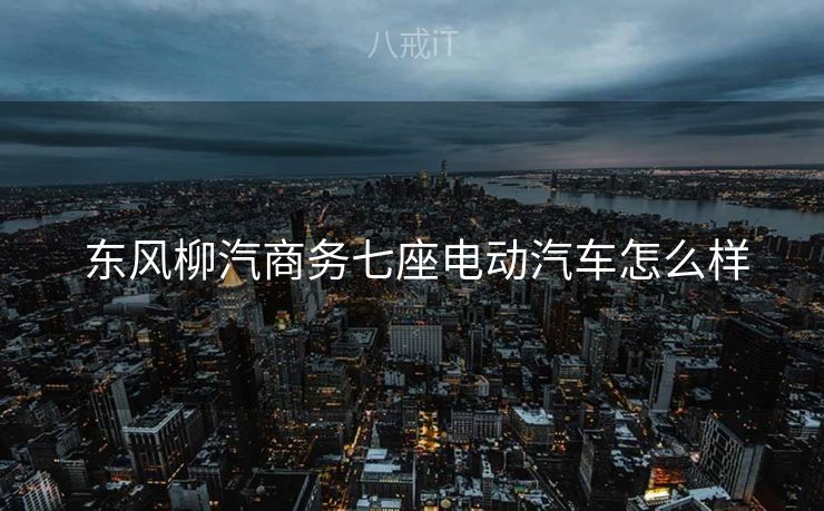  东风柳汽商务七座电动汽车怎么样