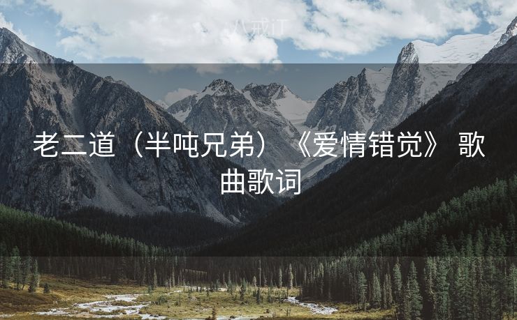老二道（半吨兄弟）《爱情错觉》 歌曲歌词
