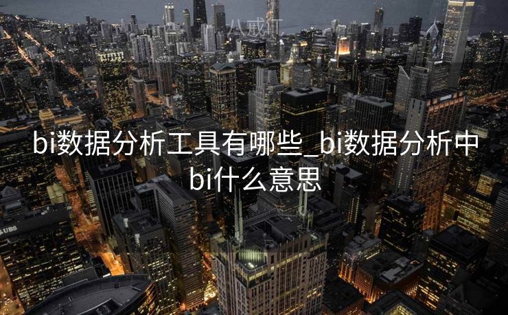 bi数据分析工具有哪些_bi数据分析中bi什么意思