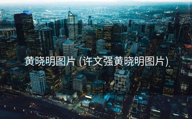 黄晓明图片 (许文强黄晓明图片)