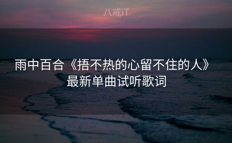 雨中百合《捂不热的心留不住的人》 最新单曲试听歌词