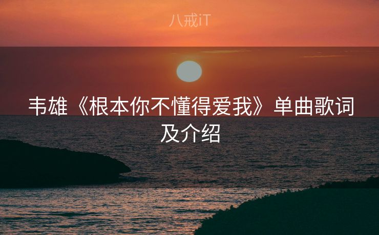 韦雄《根本你不懂得爱我》单曲歌词及介绍
