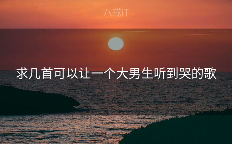 求几首可以让一个大男生听到哭的歌