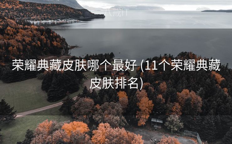 荣耀典藏皮肤哪个最好 (11个荣耀典藏皮肤排名)