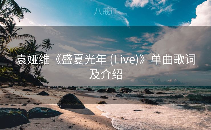 袁娅维《盛夏光年 (Live)》单曲歌词及介绍