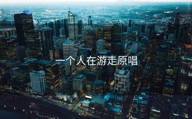 一个人在游走原唱