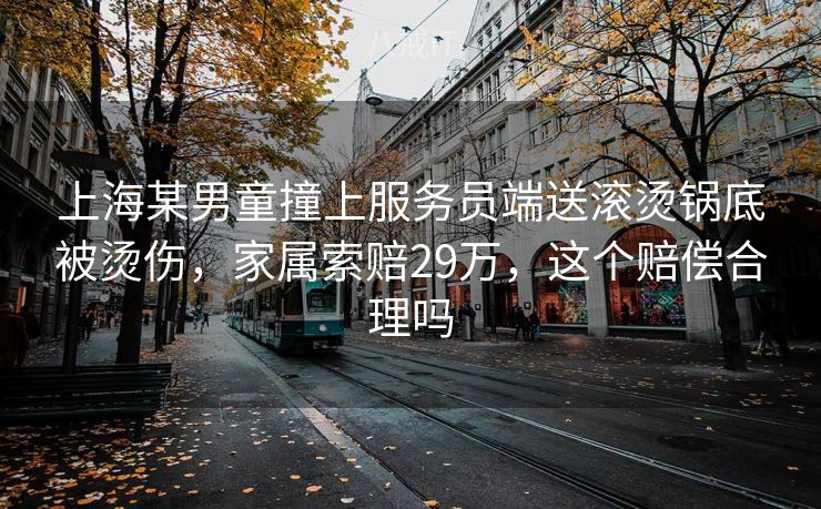 上海某男童撞上服务员端送滚烫锅底被烫伤，家属索赔29万，这个赔偿合理吗