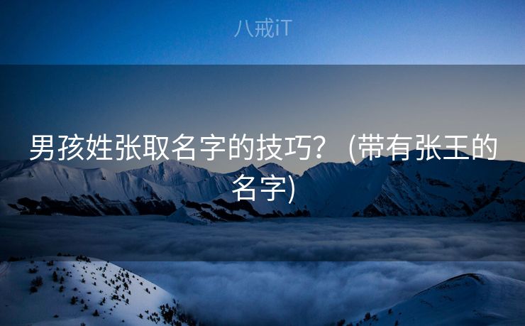 男孩姓张取名字的技巧？ (带有张王的名字)