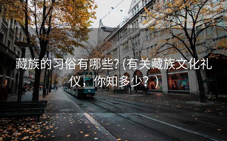 藏族的习俗有哪些? (有关藏族文化礼仪，你知多少？)